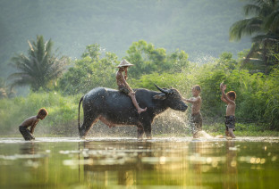 Laos