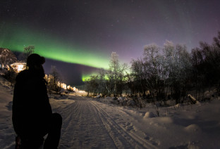 norvegia aurora
