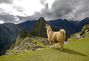 peru macchupicchu