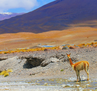 viaggio in bolivia