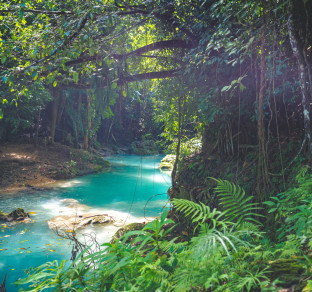 natura in giamaica