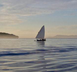 madagascar Nosy Be mare