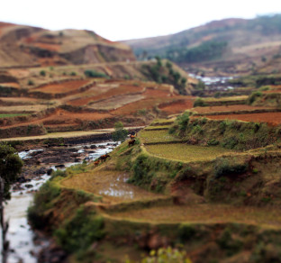 Parco Natuarle in Madagascar