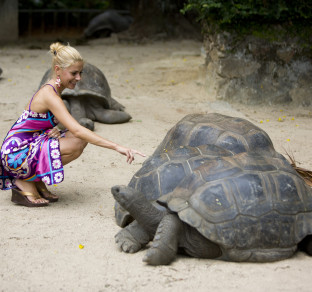 tartaruga Seychelles