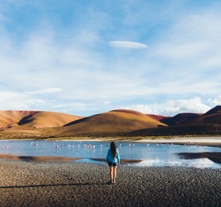 vista di Atacama 