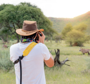 Safari foto