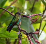 viaggio in costa rica