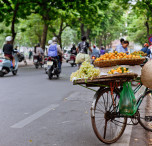 vietnam bici