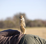 namibia natura