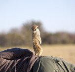 namibia natura