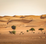 oman deserto