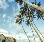 brasile palmen e spiaggia