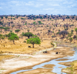 tanzania