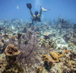 Snorkeling Cuba