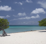 caraibi spiaggia ad aruba