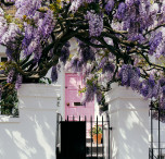 inghilterra notting hill