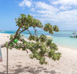 mauritius spiaggia