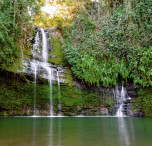 Parco Naturale in Madagascar