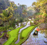 Ubud