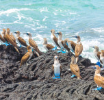 ecuador natura