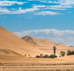 namibia deserto