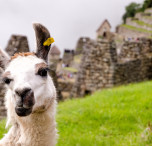 perù machu picchu