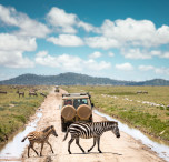 Safari in Tanzania