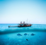 zanzibar barca