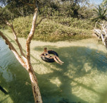 Fraser island