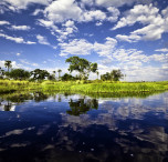 viaggio in botswana