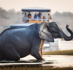 viaggio in botswana