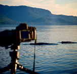 Inside passage