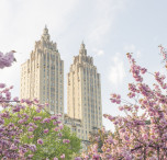 viaggio a new york