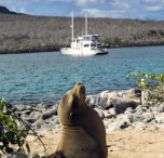 galapagos