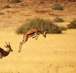 Namibia