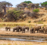 tanzania