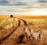 tanzania