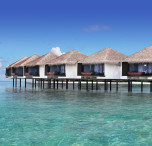 maldive