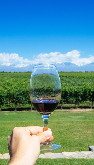 Mendoza