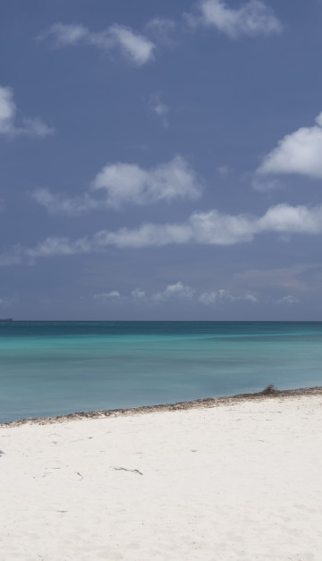 caraibi spiaggia ad aruba