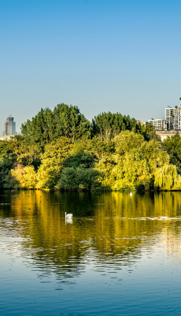 inghilterra parco di londra