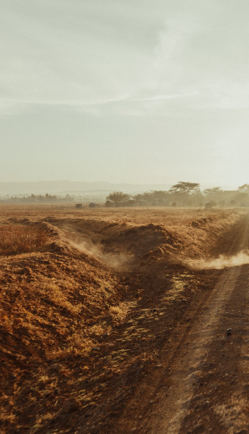 Kenya jeep e zebre