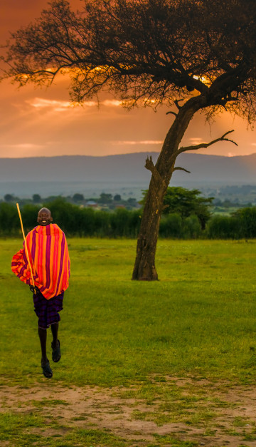 Kenya Masai e acacia