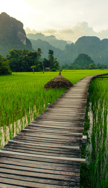 Van Vieng