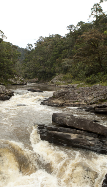 Parco Naturale Madagascar