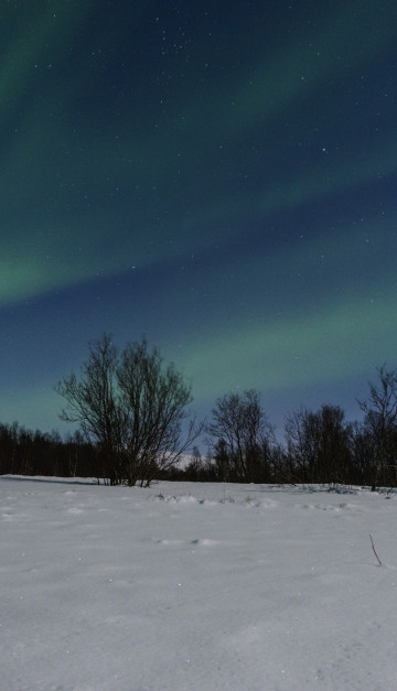 aurora boreale