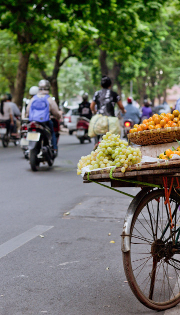 vietnam bici
