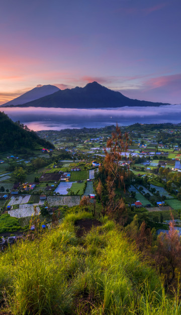 viaggio a bali