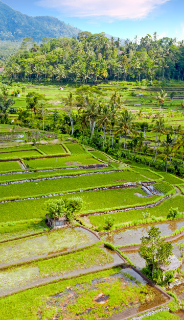 viaggio a bali