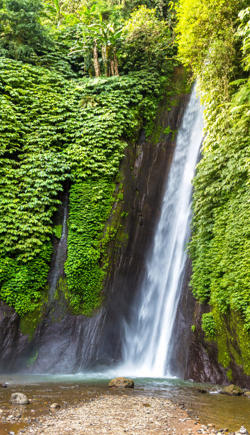 viaggio a bali